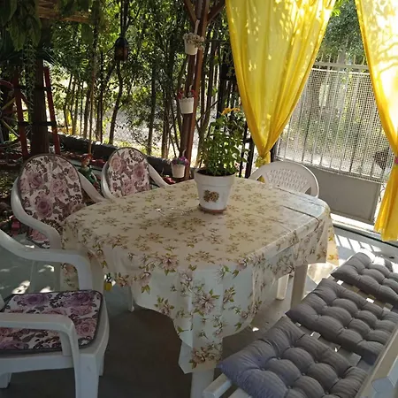Jenny's House *